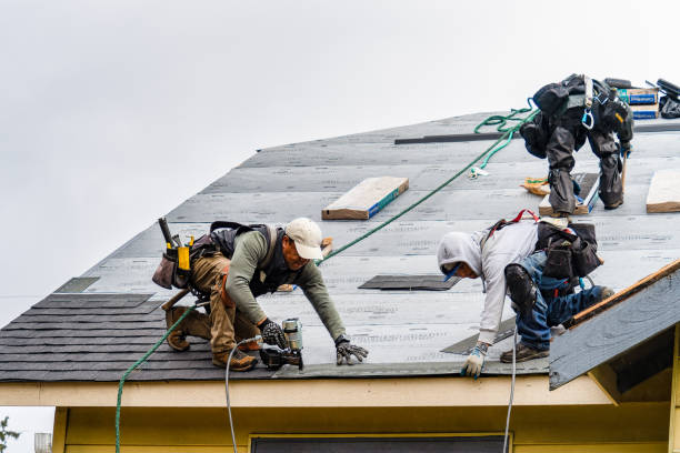 Professional Roofing technician working in Hallsville, OH
